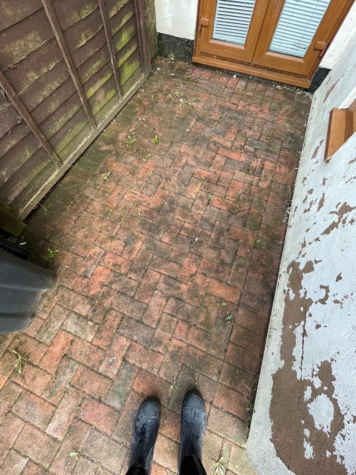 Driveway before cleaning